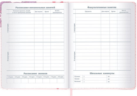 Дневник 1-11 класс 48 л., кожзам (твердая), застежка, BRAUBERG, "Аниме девочка", 107228