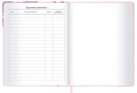 Дневник 1-11 класс 48 л., кожзам (твердая), застежка, BRAUBERG, "Аниме девочка", 107228