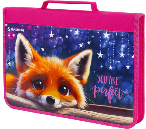 Папка на молнии BRAUBERG А4 с ручкой, с органайзером, 1 отделение, "Cute fox", 272217