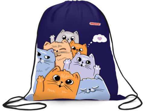 Мешок для обуви ПИФАГОР, 1 отделение, 40х32 см, Cats greetings, 272382