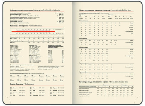 Ежедневник датированный 2025, А5, 143x218 мм, BRAUBERG "Journal", под кожу, застежка, органайзер, серый, 115881