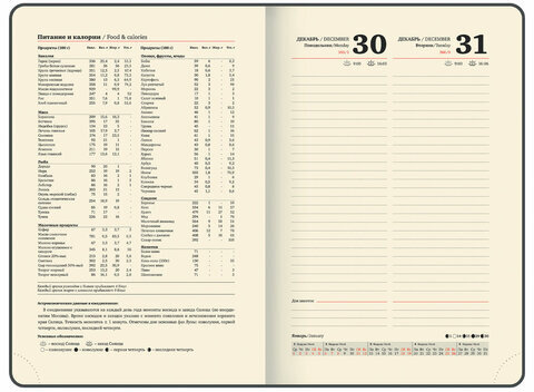 Ежедневник датированный 2025, А5, 143x218 мм, BRAUBERG "Journal", под кожу, застежка, органайзер, серый, 115881