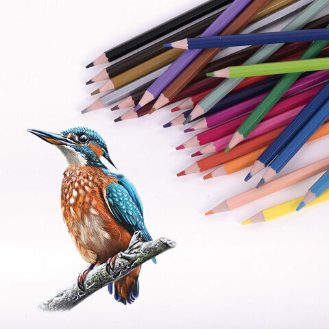 Карандаши цветные ЮНЛАНДИЯ "ДОМИКИ", 24 цвета, классические, грифель мягкий 3 мм, 181838