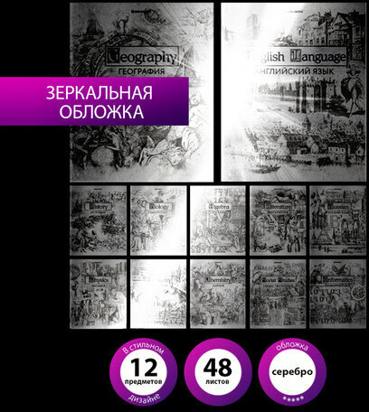 Тетради предметные, КОМПЛЕКТ 12 ПРЕДМЕТОВ, "SILVER", 48 листов, с серебряной обложкой, BRAUBERG, 404034