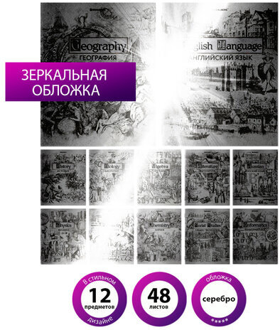 Тетради предметные, КОМПЛЕКТ 12 ПРЕДМЕТОВ, "SILVER", 48 листов, с серебряной обложкой, BRAUBERG, 404034