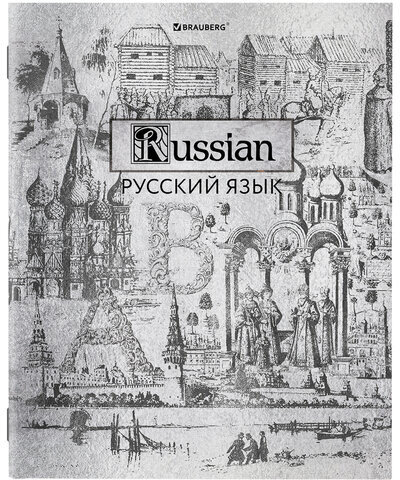 Тетради предметные, КОМПЛЕКТ 12 ПРЕДМЕТОВ, "SILVER", 48 листов, с серебряной обложкой, BRAUBERG, 404034