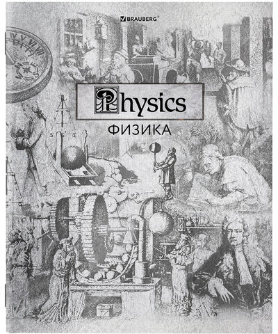 Тетради предметные, КОМПЛЕКТ 12 ПРЕДМЕТОВ, "SILVER", 48 листов, с серебряной обложкой, BRAUBERG, 404034