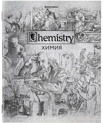 Тетради предметные, КОМПЛЕКТ 12 ПРЕДМЕТОВ, "SILVER", 48 листов, с серебряной обложкой, BRAUBERG, 404034