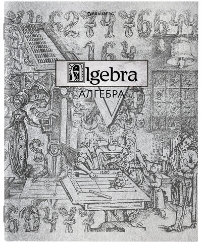 Тетради предметные, КОМПЛЕКТ 12 ПРЕДМЕТОВ, "SILVER", 48 листов, с серебряной обложкой, BRAUBERG, 404034