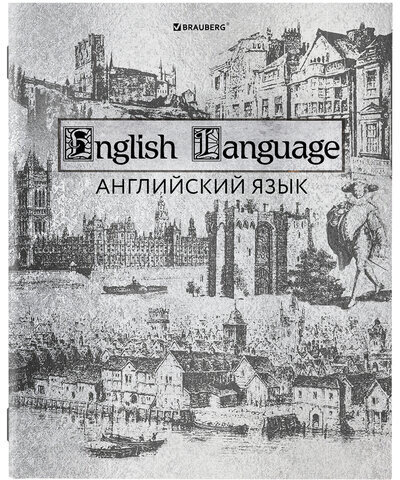 Тетради предметные, КОМПЛЕКТ 12 ПРЕДМЕТОВ, "SILVER", 48 листов, с серебряной обложкой, BRAUBERG, 404034