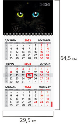 Календарь квартальный на 2024 г., 3 блока 1 гребень с бегунком, мелованная бумага, "Cat's eyes", BRAUBERG, 115309