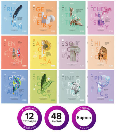 Тетради предметные со справочным материалом, КОМПЛЕКТ 12 ПРЕДМЕТОВ, VISION, 48 л., обложка картон, BRAUBERG, 404323