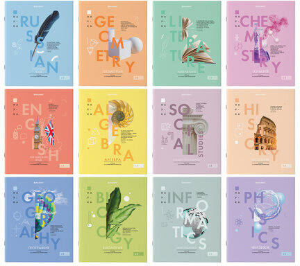 Тетради предметные со справочным материалом, КОМПЛЕКТ 12 ПРЕДМЕТОВ, VISION, 48 л., обложка картон, BRAUBERG, 404323