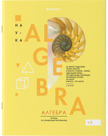 Тетради предметные со справочным материалом, КОМПЛЕКТ 12 ПРЕДМЕТОВ, VISION, 48 л., обложка картон, BRAUBERG, 404323