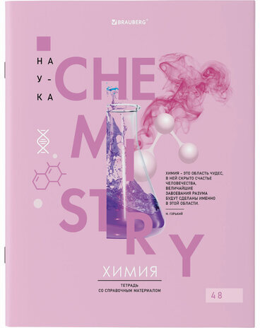 Тетради предметные со справочным материалом, КОМПЛЕКТ 12 ПРЕДМЕТОВ, VISION, 48 л., обложка картон, BRAUBERG, 404323