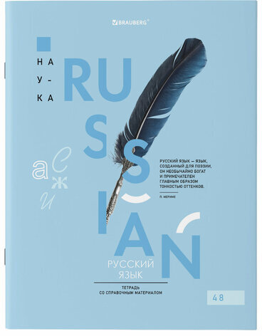 Тетради предметные со справочным материалом, КОМПЛЕКТ 12 ПРЕДМЕТОВ, VISION, 48 л., обложка картон, BRAUBERG, 404323