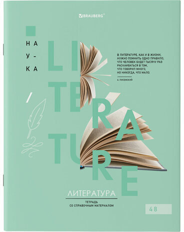 Тетради предметные со справочным материалом, КОМПЛЕКТ 12 ПРЕДМЕТОВ, VISION, 48 л., обложка картон, BRAUBERG, 404323