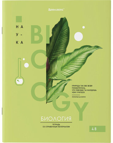 Тетради предметные со справочным материалом, КОМПЛЕКТ 12 ПРЕДМЕТОВ, VISION, 48 л., обложка картон, BRAUBERG, 404323