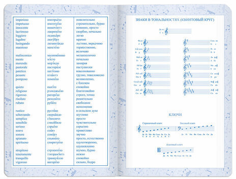 Дневник для музыкальной школы 140х210 мм, 48 л., обложка кожзам гибкая, BRAUBERG, справочный материал, синий, 105498
