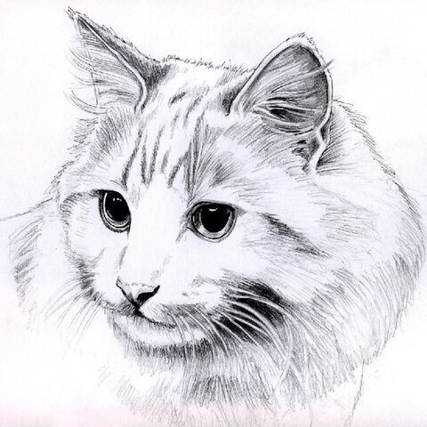 Альбом для рисования, ватман ГОЗНАК 200 г/м2 200х198 мм, 60 л., склейка, BRAUBERG ART CLASSIC, 105909