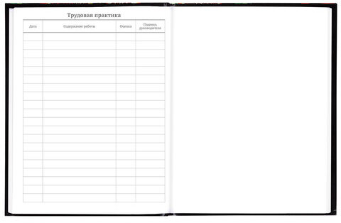 Дневник 5-11 класс 48 л., твердый, BRAUBERG, глянцевая ламинация, с подсказом, "Футбол", 106880