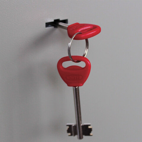 Сейф мебельный BRABIX "D-24m", 240х310х260 мм, 7 кг, ключевой замок, крепление к стене, 291162