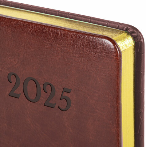 Ежедневник датированный 2025, А5, 138x213 мм, BRAUBERG "Cayman", под кожу, черный/коричневый, 115770