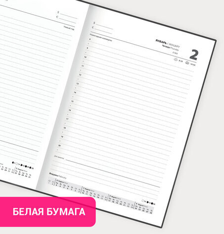 Ежедневник датированный 2025 145х215 мм, А5, STAFF, обложка бумвинил, черный, 116015