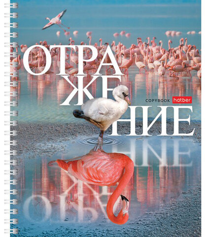 Тетрадь А5 48 л. HATBER гребень, клетка, обложка картон, "Отражение" (4 вида в спайке), 48Т5В1гр