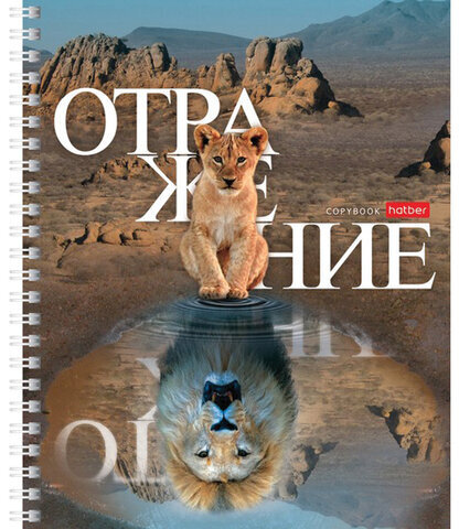 Тетрадь А5 48 л. HATBER гребень, клетка, обложка картон, "Отражение" (4 вида в спайке), 48Т5В1гр