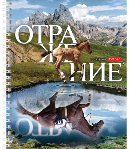 Тетрадь А5 48 л. HATBER гребень, клетка, обложка картон, "Отражение" (4 вида в спайке), 48Т5В1гр
