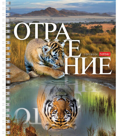 Тетрадь А5 48 л. HATBER гребень, клетка, обложка картон, "Отражение" (4 вида в спайке), 48Т5В1гр
