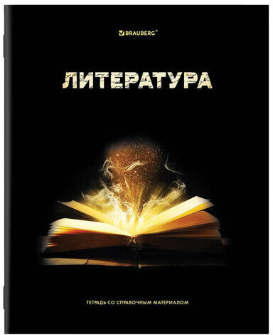Тетради предметные, КОМПЛЕКТ 12 ПРЕДМЕТОВ, "SHADE", 48 л., глянцевый УФ-лак, BRAUBERG, 404324