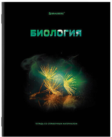 Тетради предметные, КОМПЛЕКТ 12 ПРЕДМЕТОВ, "SHADE", 48 л., глянцевый УФ-лак, BRAUBERG, 404324