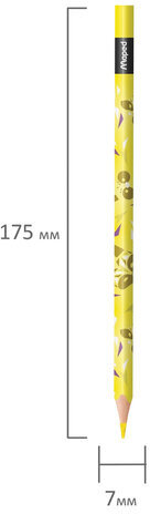 Карандаши цветные MAPED "Mini Cute", набор 12 цветов, пластиковый декорированный корпус, 862201