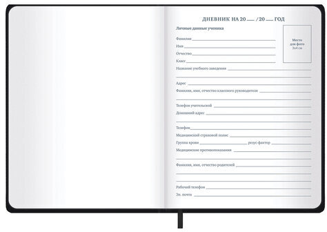 Дневник 1-11 класс 48 л., кожзам SoftTouch (твердая с поролоном), фольга, BRAUBERG, "Minimal", 107230