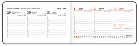 Еженедельник датированный 2026 МАЛЫЙ ФОРМАТ 105х160 мм, А6, BRAUBERG "Blaze", фольга, бежевый, 117216