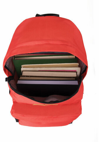 Рюкзак BRAUBERG, универсальный, сити-формат, один тон, коралловый, 20 литров, 41х32х14 см, 228844
