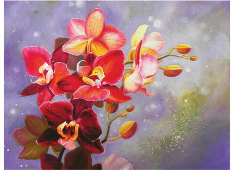 Картина стразами (алмазная мозаика) 30х40 см, ОСТРОВ СОКРОВИЩ "Орхидея", без подрамника, 662563