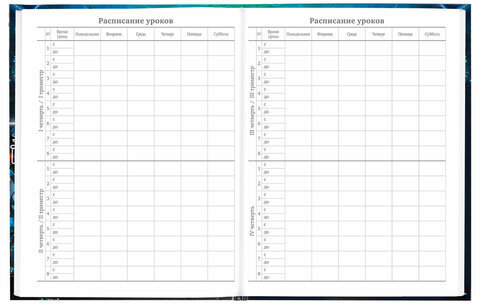 Дневник 5-11 класс 48 л., твердый, BRAUBERG, глянцевая ламинация, с подсказом, "Cyberpunk", 106881