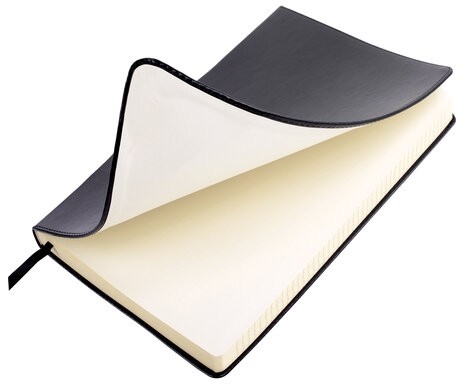 Блокнот А5 (148х218 мм), BRAUBERG "Income", 128 л., гладкий кожзаменитель, клетка, черный, 125208