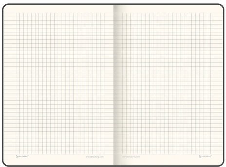 Блокнот А5 (148х218 мм), BRAUBERG "Income", 128 л., гладкий кожзаменитель, клетка, черный, 125208