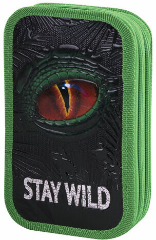 Пенал ЮНЛАНДИЯ, 2 отделение, ламинированный картон, конгрев, 19х11 см, "Stay wild", 270889