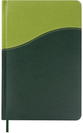 Ежедневник недатированный А5 138х213 мм BRAUBERG "Bond" под кожу, 160 л., зеленый/салатовый, 126219