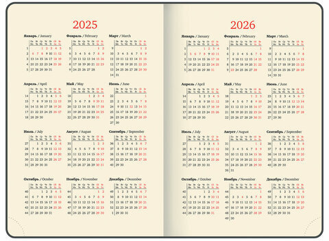 Ежедневник датированный 2025, А5, 143x218 мм, BRAUBERG "Journal", под кожу, застежка, органайзер, коричневый, 115883