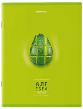 Тетради предметные, КОМПЛЕКТ 10 ПРЕДМЕТОВ, AVOCADO, 48 л., глянцевый УФ-лак, BRAUBERG, 404325