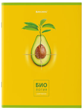 Тетради предметные, КОМПЛЕКТ 10 ПРЕДМЕТОВ, AVOCADO, 48 л., глянцевый УФ-лак, BRAUBERG, 404325