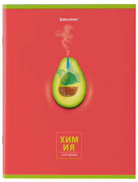 Тетради предметные, КОМПЛЕКТ 10 ПРЕДМЕТОВ, AVOCADO, 48 л., глянцевый УФ-лак, BRAUBERG, 404325