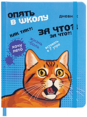 Дневник 1-11 класс 48 л., кожзам (твердая), печать, резинка, конверт, BRAUBERG, &quot;Опять в школу&quot;, 107231