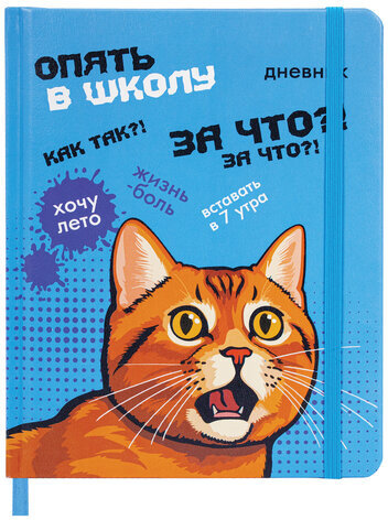 Дневник 1-11 класс 48 л., кожзам (твердая), печать, резинка, конверт, BRAUBERG, "Опять в школу", 107231
